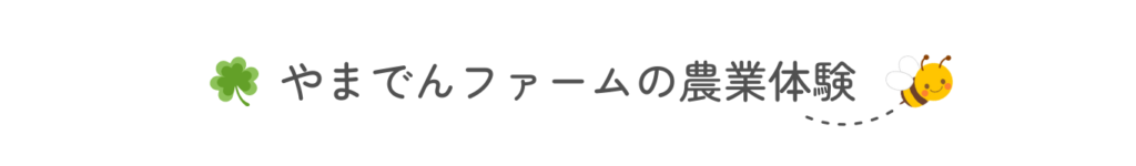 やまでんファームの農業体験